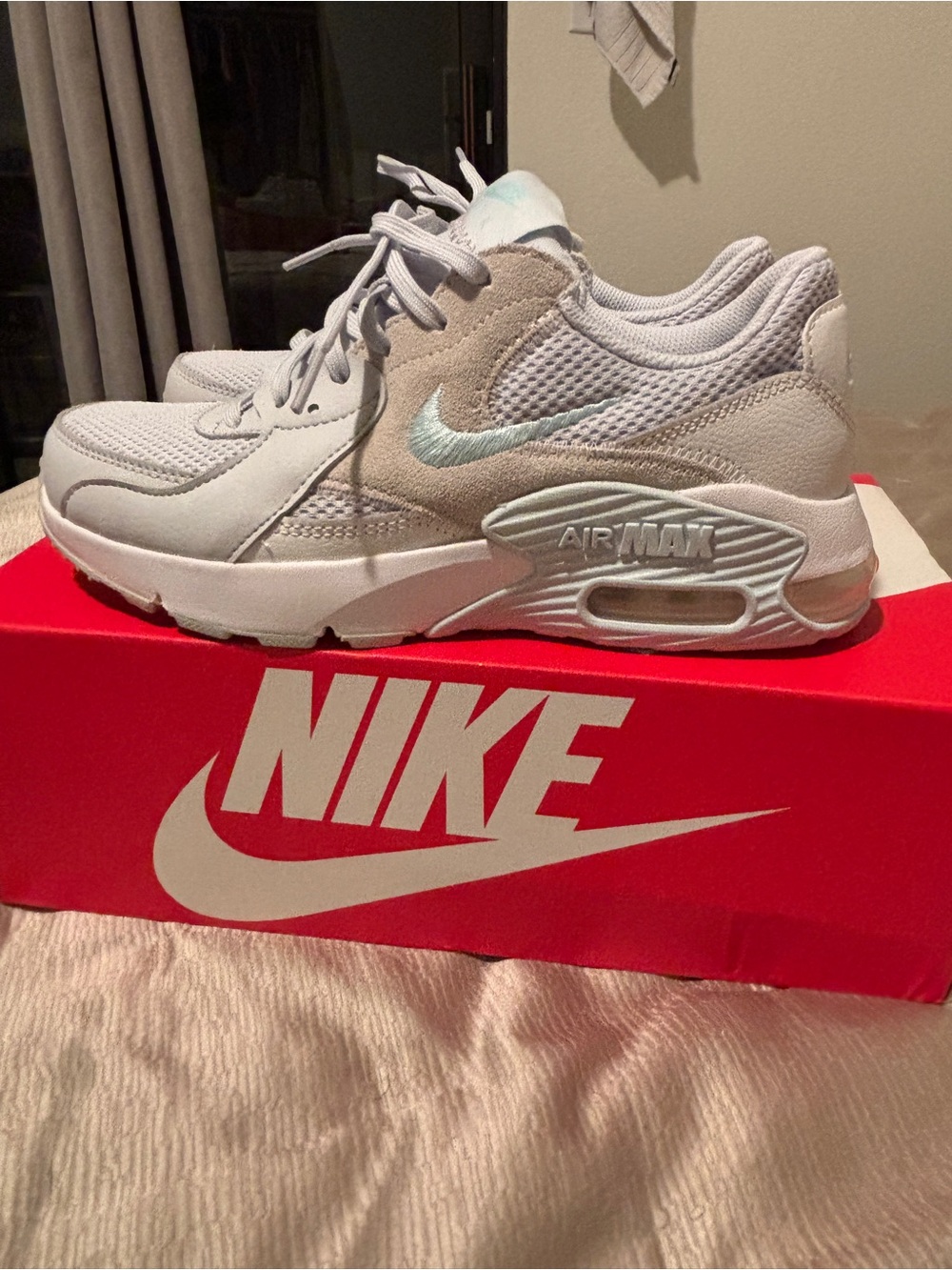 Nike Women’s Air Max Low-Top Light Gray and Pale Blue Sneakers
